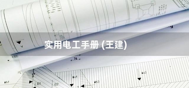 实用电工手册 (王建)